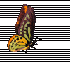 butterfly-animated-gif-45.gif