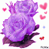 roses26.gif