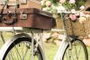 20173154-vélo-vintage-sur-le-terrain-avec-un-panier-de-fleurs-et-de-sac.jpg