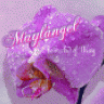Maylangel