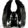 evilangel